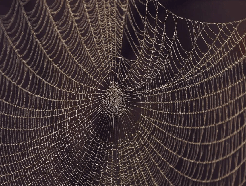 Dusting Off the&nbsp;Cobwebs